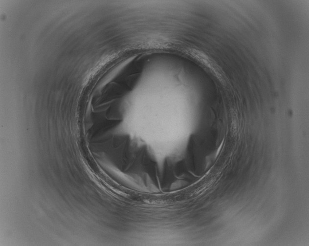 X0000071770677200607211532