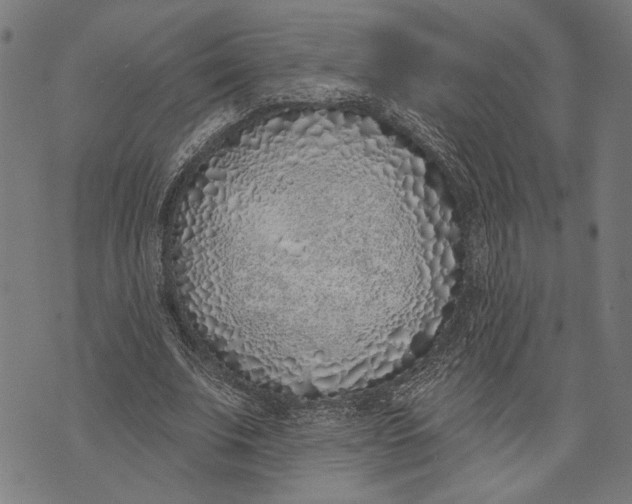 X0000071770679200607211532