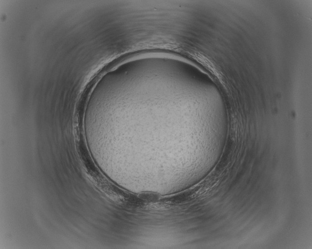 X0000071770680200607211532