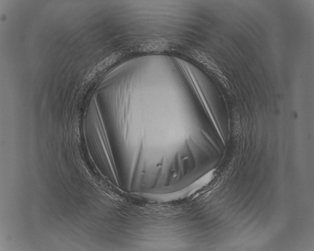 X0000071770681200607211532