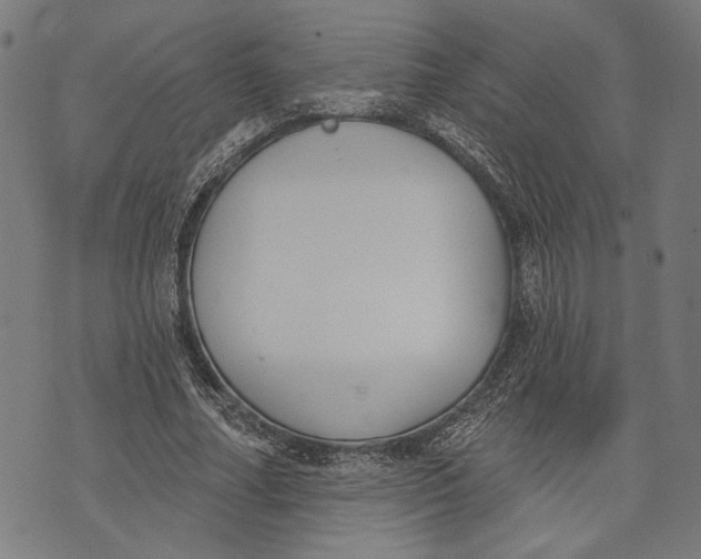 X0000071770682200607211532