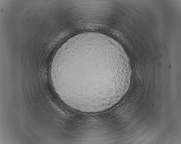 X0000071770683200607211532