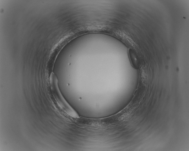 X0000071770684200607211532