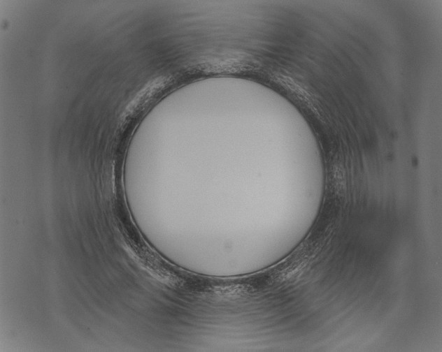 X0000071770686200607211532