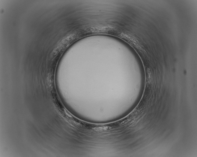 X0000071770687200607211532