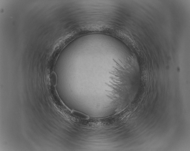 X0000071770688200607211532