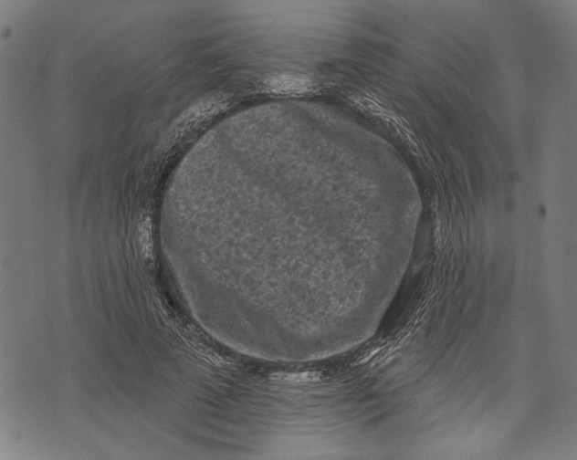 X0000071770689200607211532