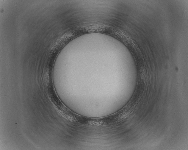 X0000071770690200607211532