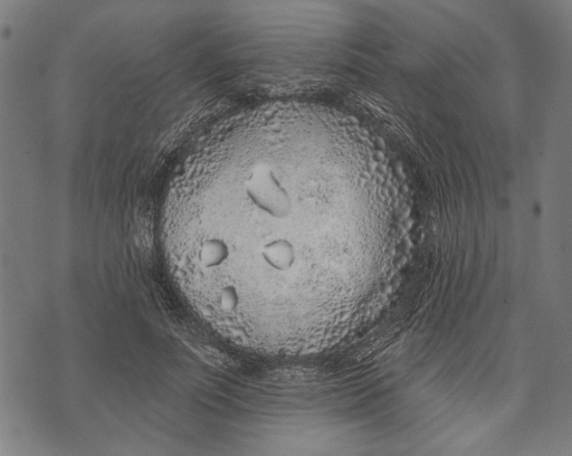 X0000071770691200607211532