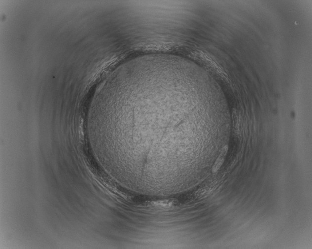 X0000071770692200607211532