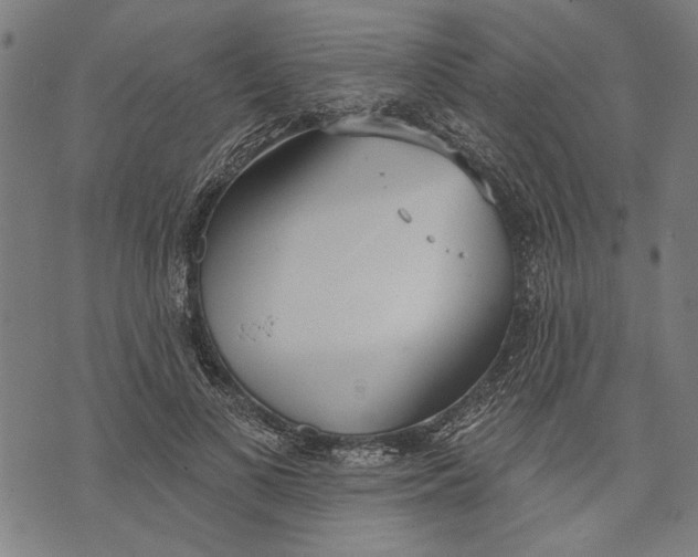 X0000071770693200607211532