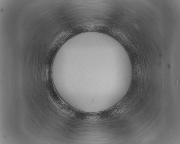 X0000071770694200607211532