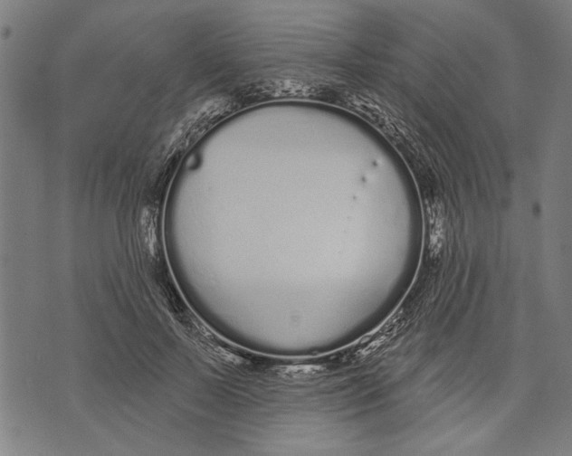 X0000071770695200607211532