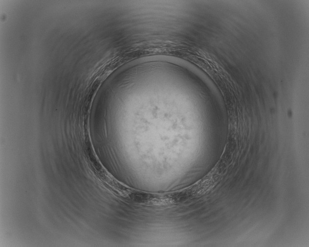 X0000071770696200607211532