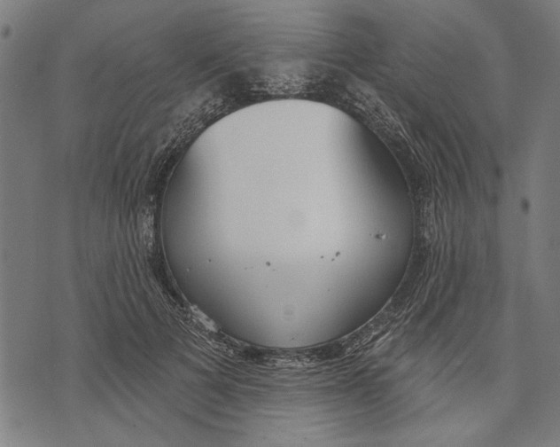 X0000071770697200607211532