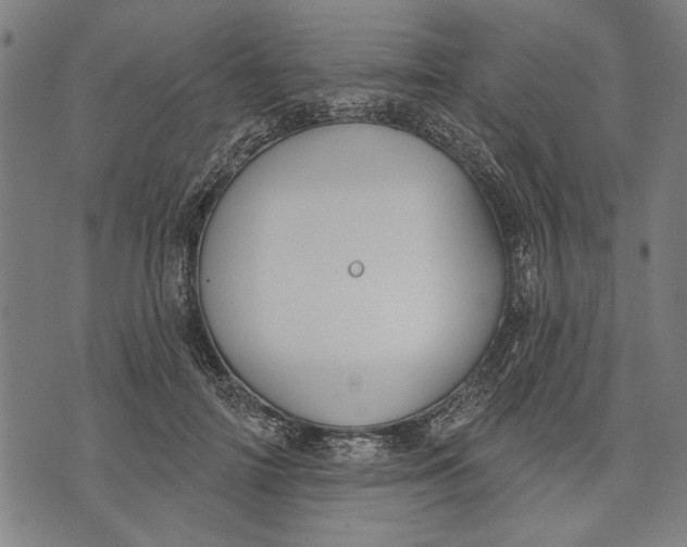 X0000071770698200607211532