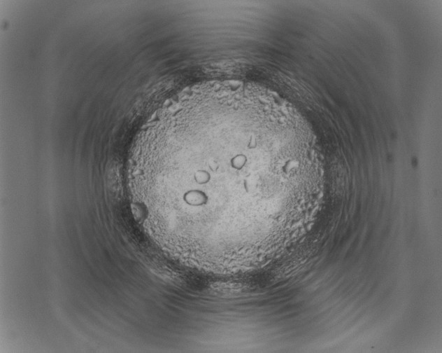 X0000071770699200607211532