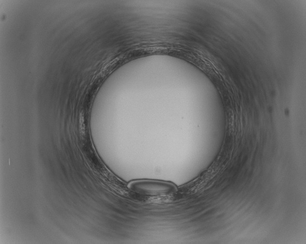 X0000071770700200607211532