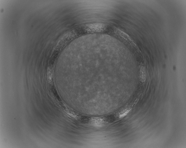 X0000071770701200607211532