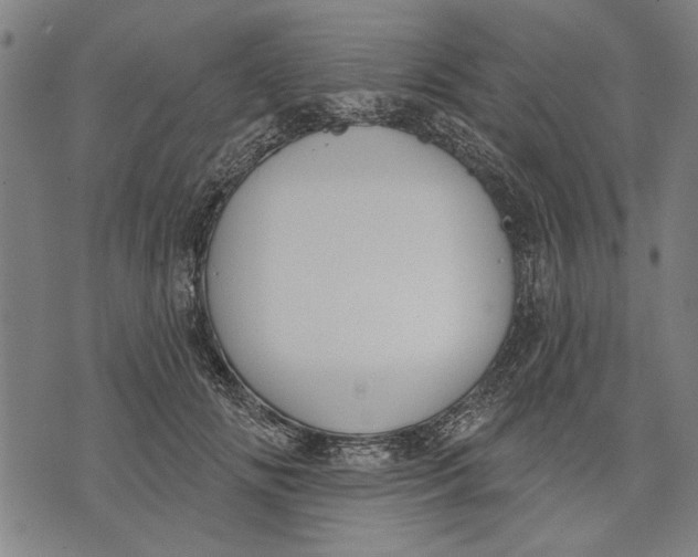 X0000071770702200607211532