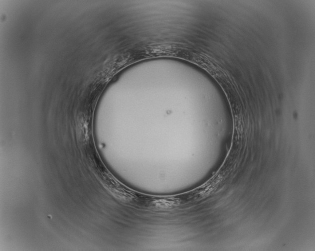 X0000071770703200607211532