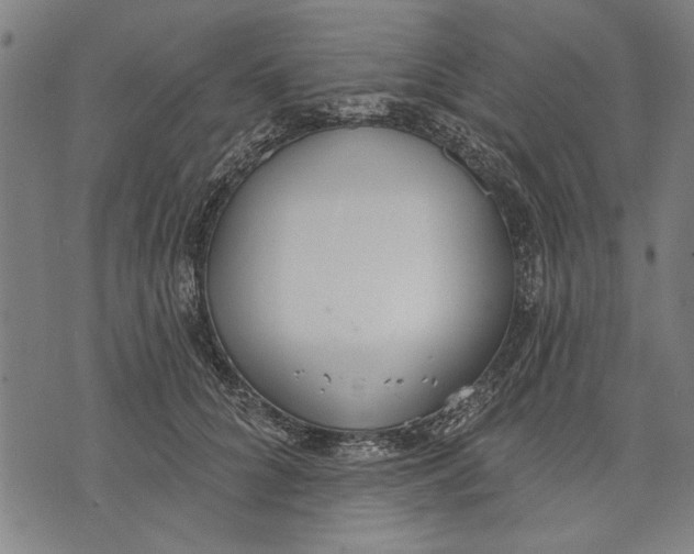 X0000071770704200607211532