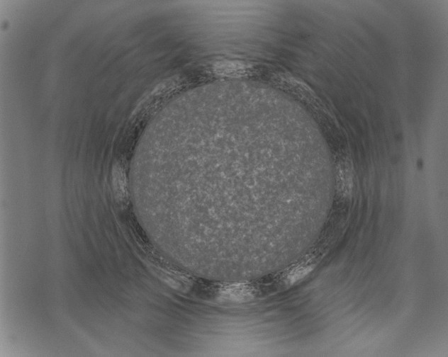 X0000071770705200607211532