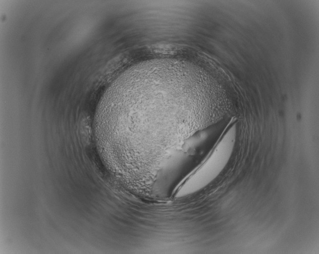 X0000071770707200607211532