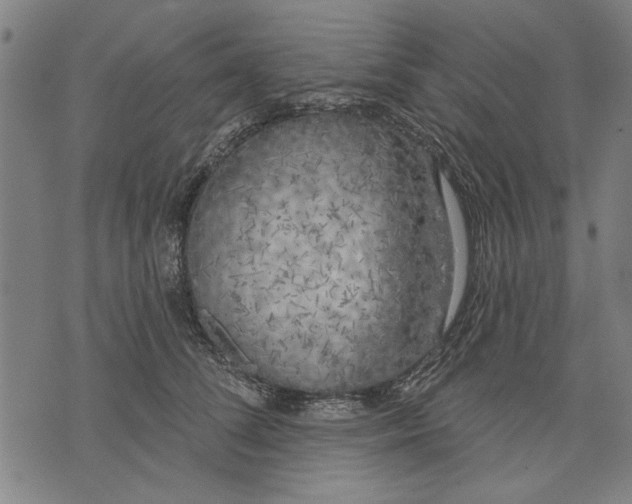 X0000071770708200607211532