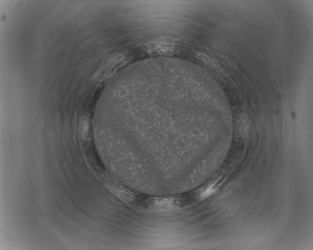 X0000071770709200607211532