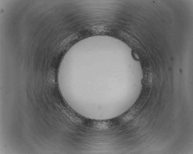 X0000071770710200607211532