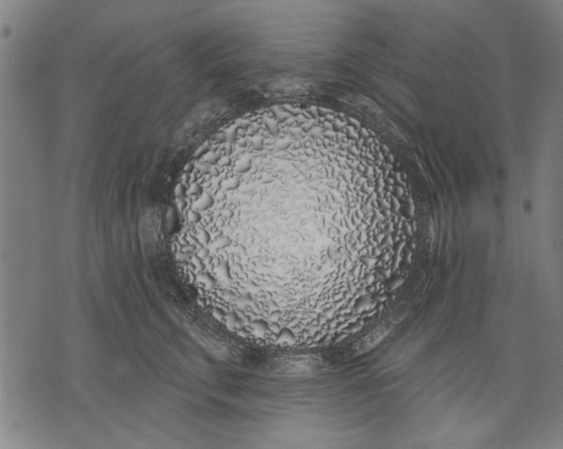 X0000071770711200607211532