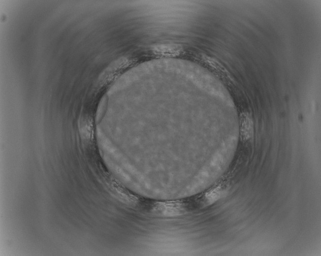 X0000071770713200607211532