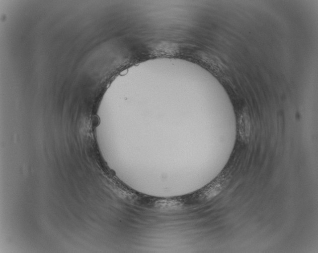 X0000071770714200607211532