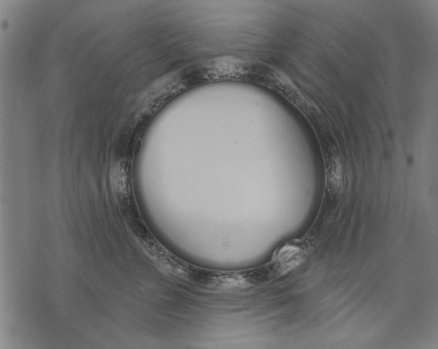 X0000071770715200607211532