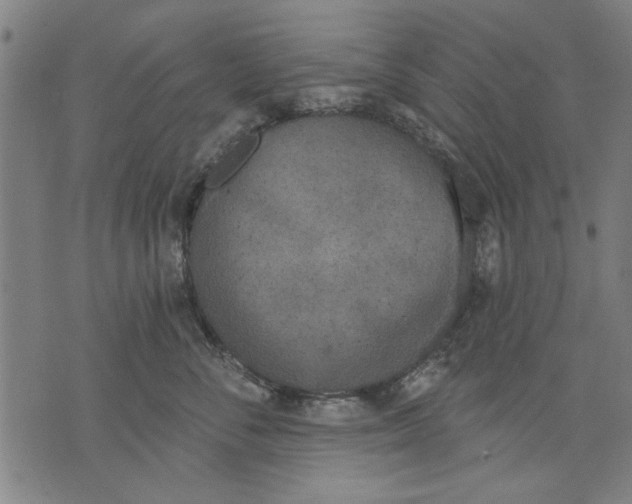 X0000071770716200607211532