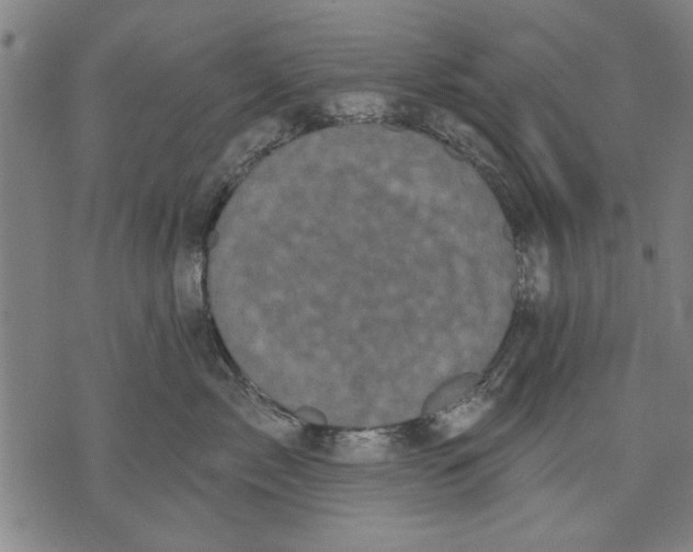 X0000071770717200607211532