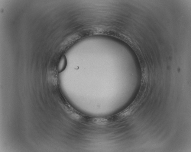 X0000071770719200607211532