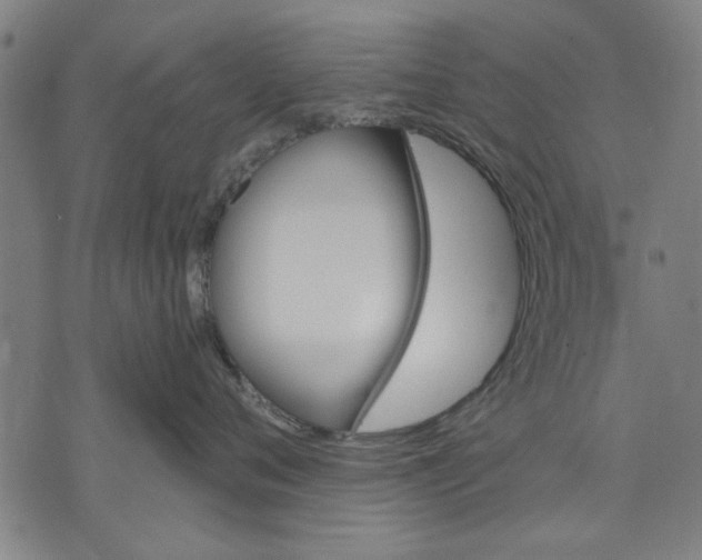 X0000071770720200607211532