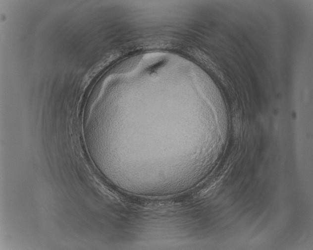 X0000071770721200607211531