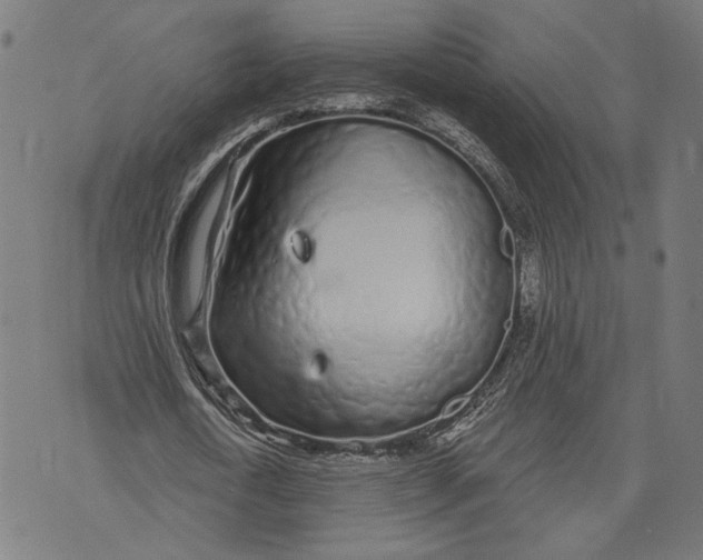 X0000071770722200607211531