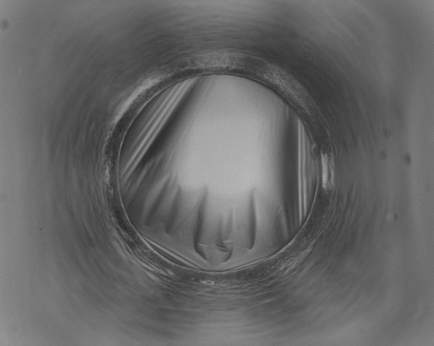 X0000071770723200607211531