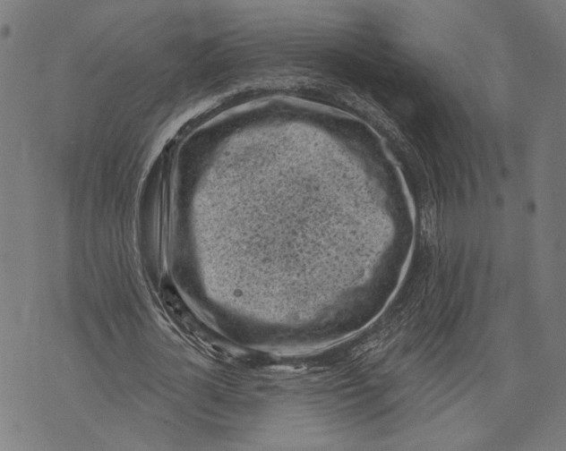 X0000071770724200607211531