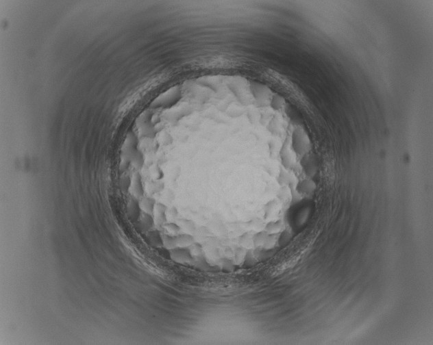 X0000071770725200607211531