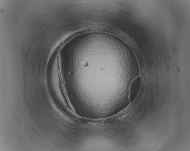 X0000071770726200607211531