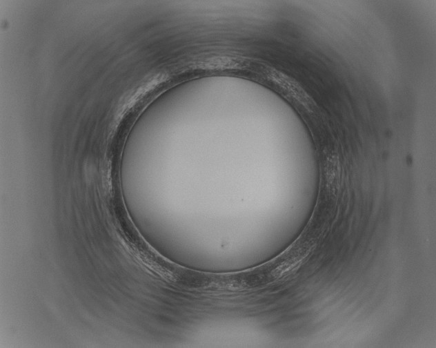 X0000071770727200607211531