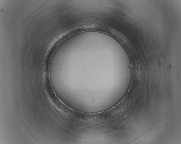 X0000071770728200607211531