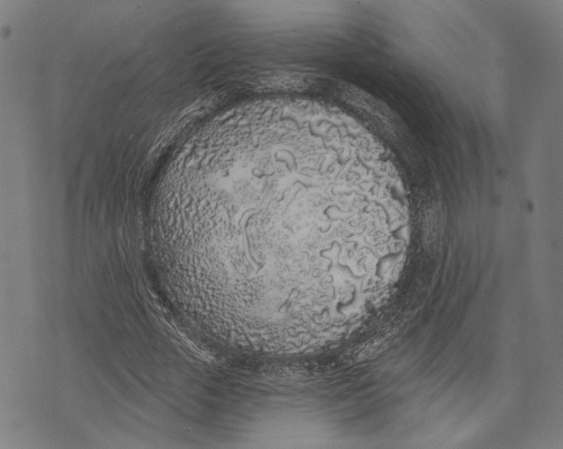 X0000071770729200607211531