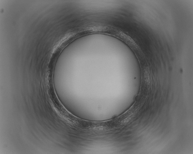 X0000071770730200607211531