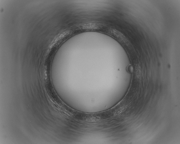 X0000071770731200607211531